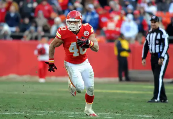 Peyton Hillis Released by New York Giants - Big Blue Interactive